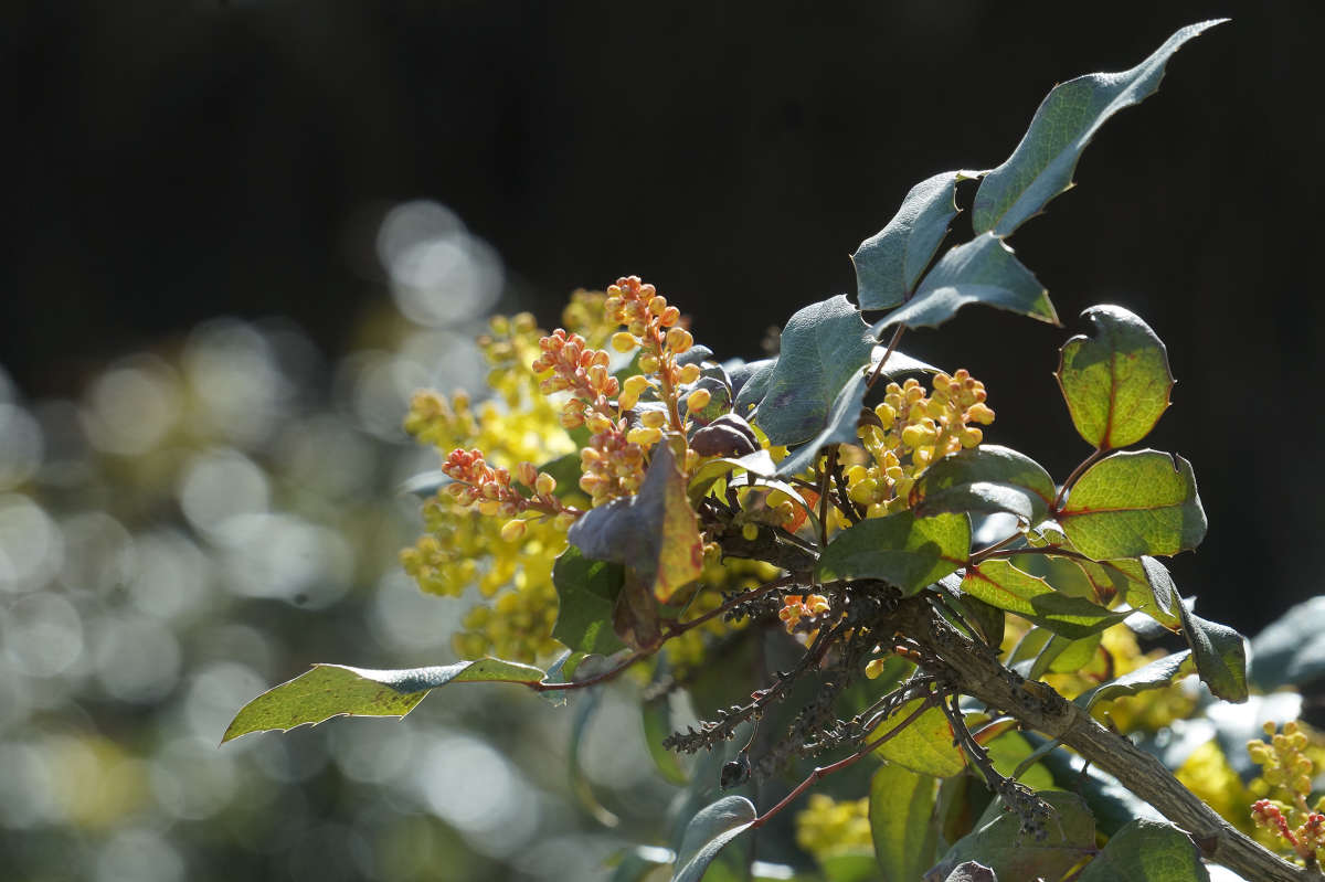 "� ��������� ��������" ����� ������ ������ �� PhotoGeek.ru #������ ��� �������