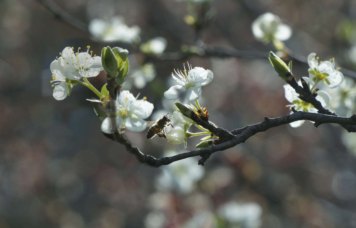 "�������� 51" ����� ������ ������ �� PhotoGeek.ru #������ ��� �������