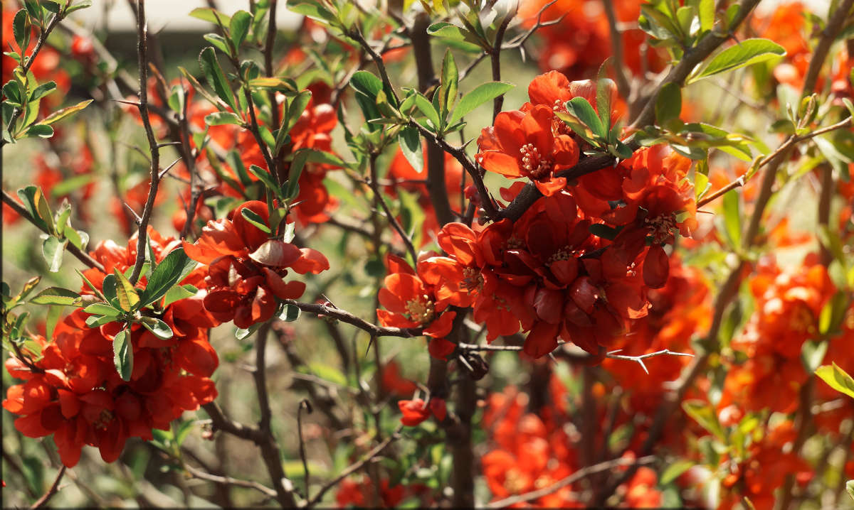 "������ ��������" ����� ������ ������ �� PhotoGeek.ru #������ ��� �������