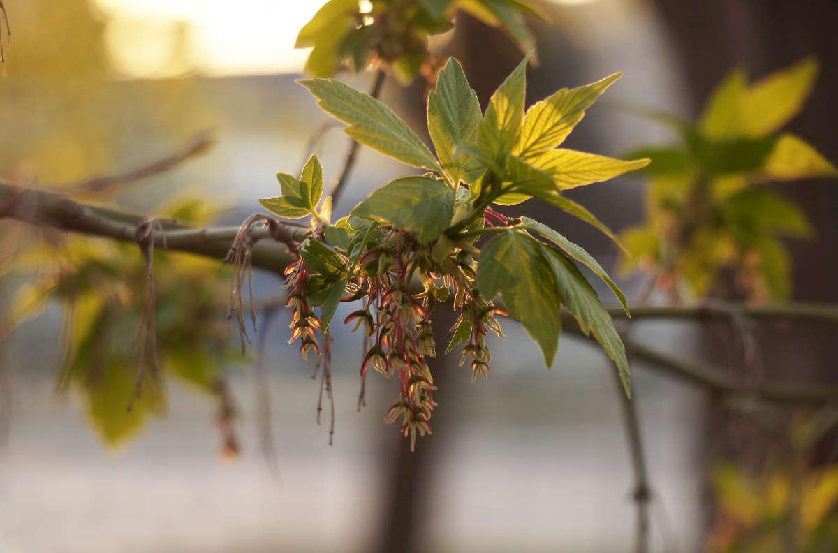 "�������� 54" ����� ������ ������ �� PhotoGeek.ru #������ ��� �������