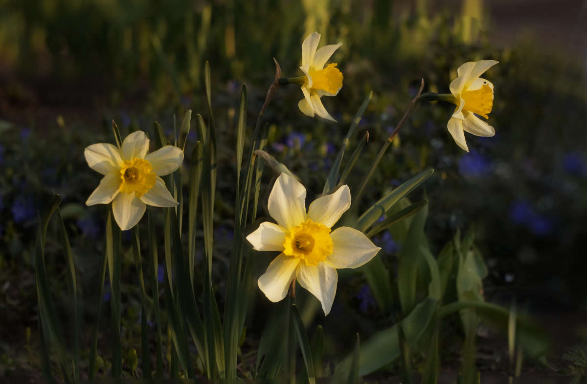 "������ ������ 2" ����� ������ ������ �� PhotoGeek.ru #������ ��� �������