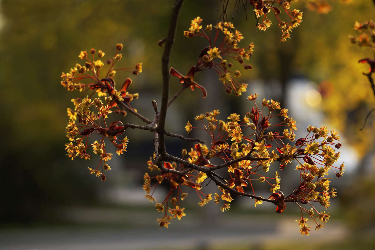 "������ ������" ����� ������ ������ �� PhotoGeek.ru #������ ��� �������