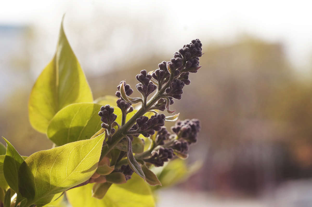 "������� ������ � �� 2" ����� ������ ������ �� PhotoGeek.ru #������ ��� �������