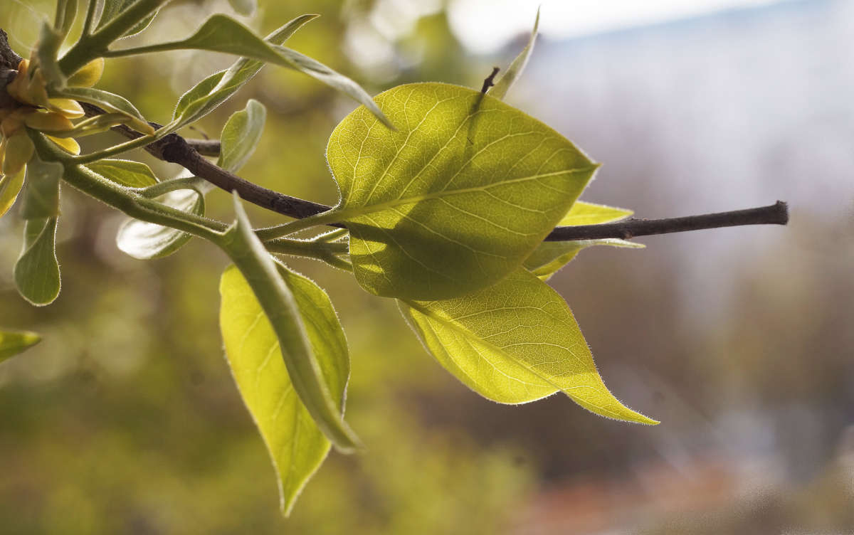 "������� ������ � ��" ����� ������ ������ �� PhotoGeek.ru #������ ��� �������