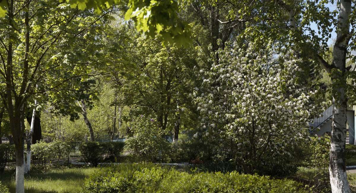 "���� ����� ��������" ����� ������ ������ �� PhotoGeek.ru #�������� ����������