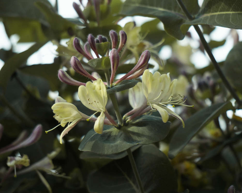 "�������� ��������� 7" ����� ������ ������ �� PhotoGeek.ru #������ ��� �������