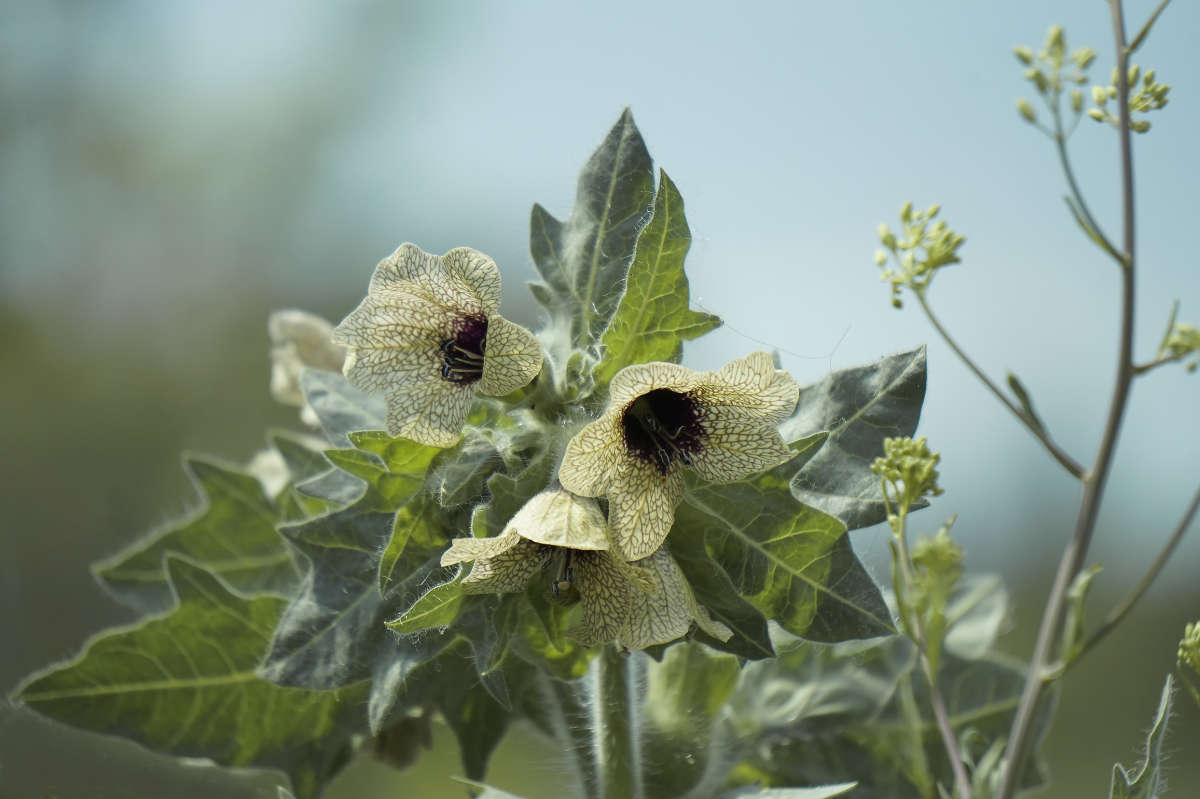 "����������" ����� ������ ������ �� PhotoGeek.ru #������ ��� �������