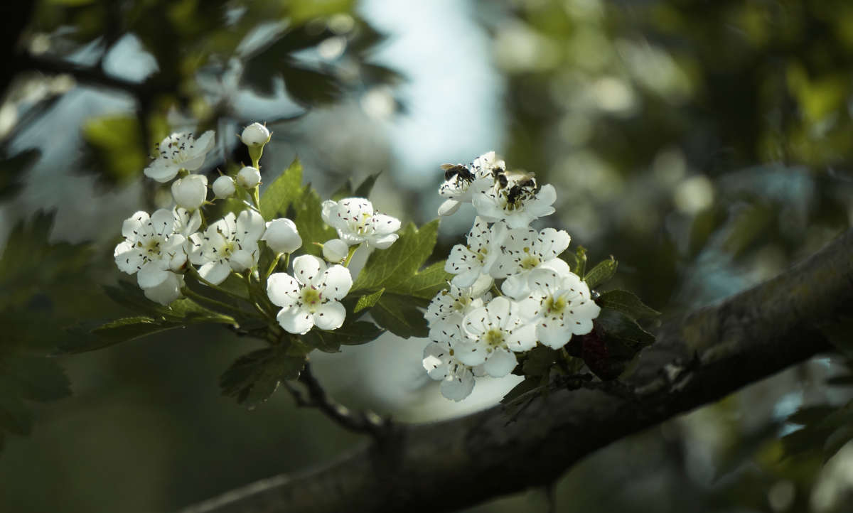 "������� ��������" ����� ������ ������ �� PhotoGeek.ru #������ ��� �������