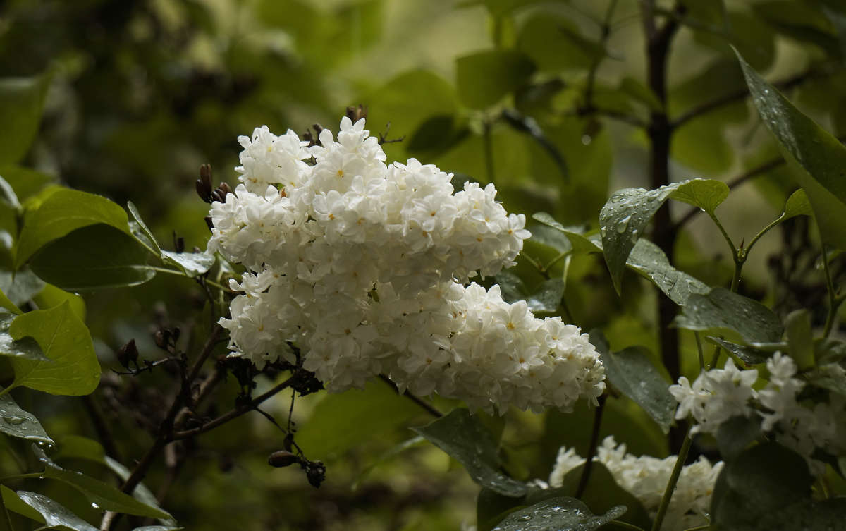 "��� ����������� ������" ����� ������ ������ �� PhotoGeek.ru #������ ��� �������