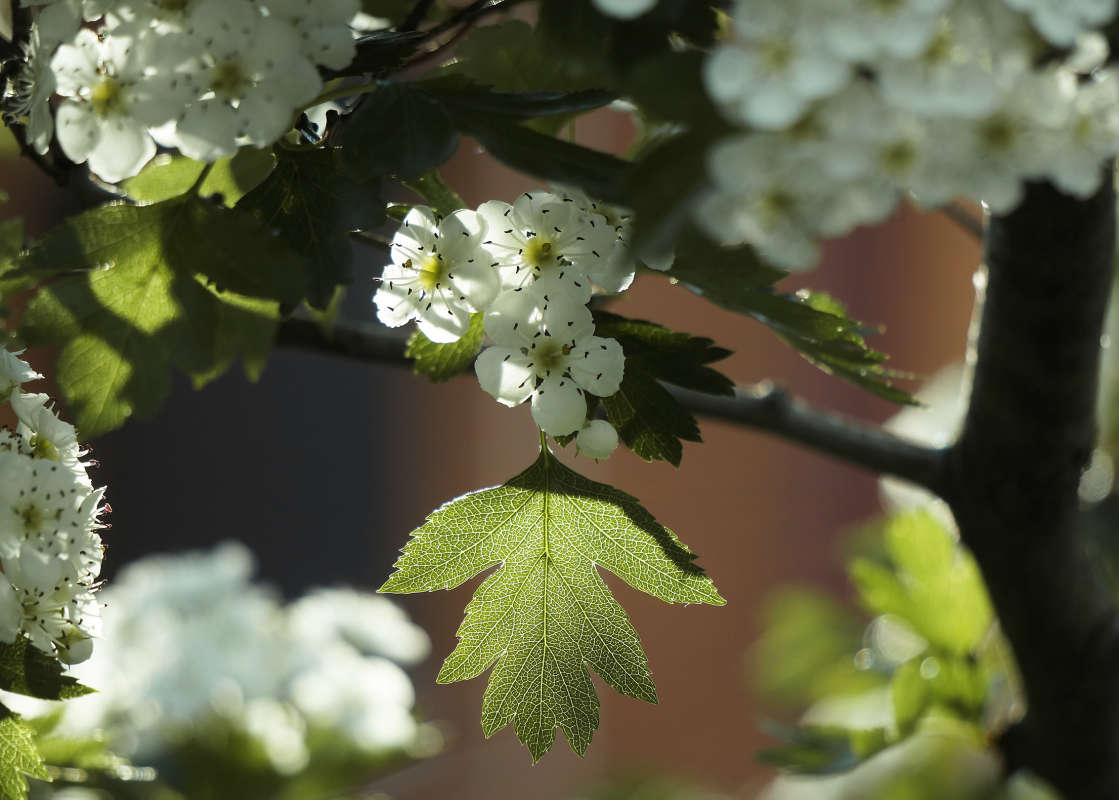 "�������� � ��������" ����� ������ ������ �� PhotoGeek.ru #������ ��� �������