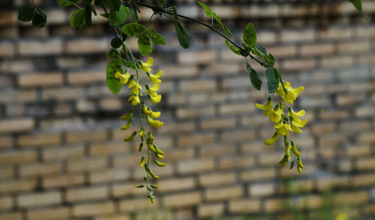 "������ ������" ����� ������ ������ �� PhotoGeek.ru #������ ��� �������