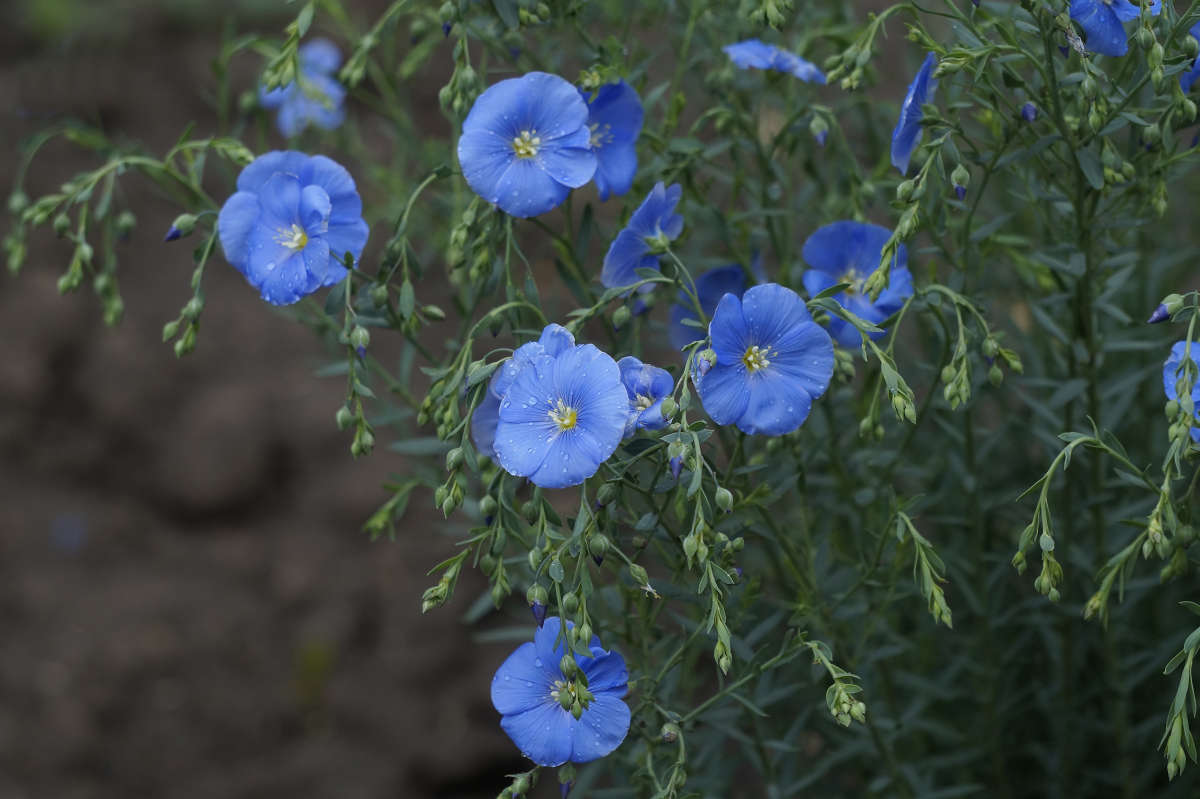 "����������� ��������" ����� ������ ������ �� PhotoGeek.ru #������ ��� �������