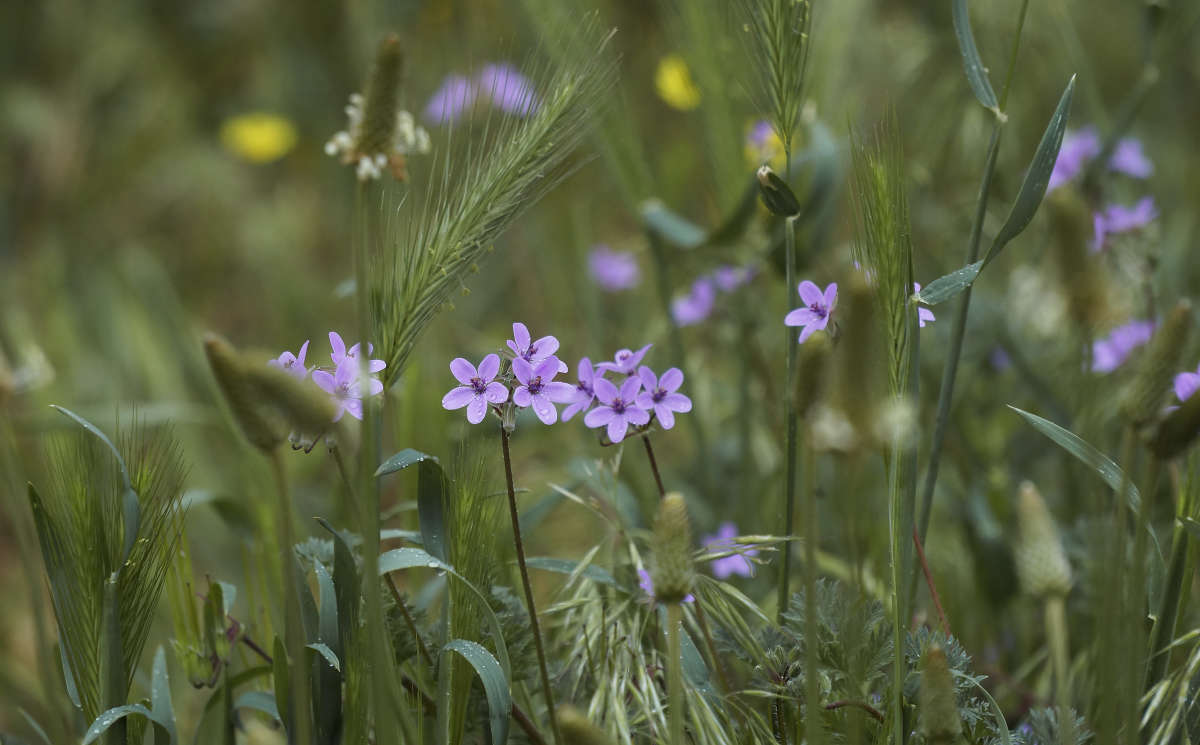 "����� ����������" ����� ������ ������ �� PhotoGeek.ru #������ ��� �������