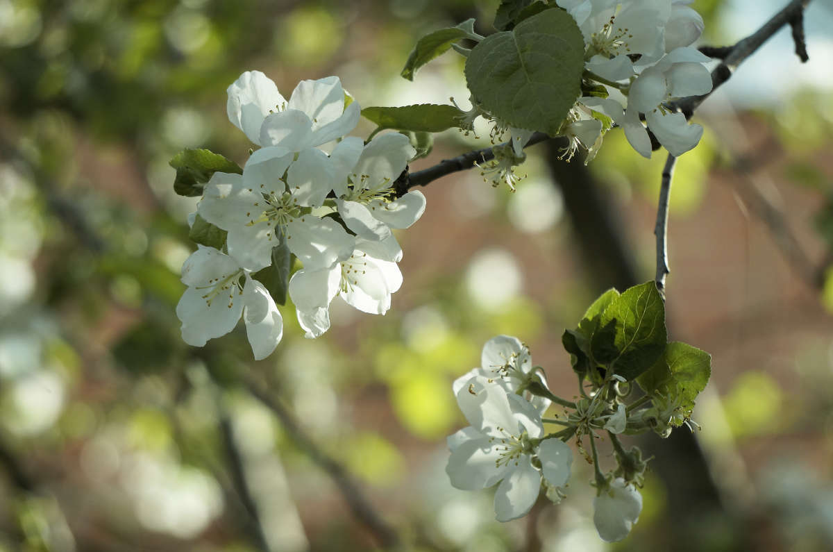 "������� �������" ����� ������ ������ �� PhotoGeek.ru #������ ��� �������