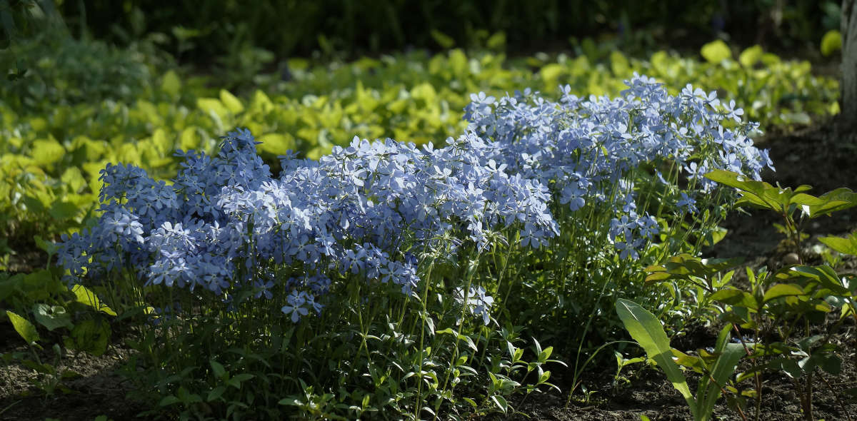 "������� �� ������" ����� ������ ������ �� PhotoGeek.ru #������ ��� �������