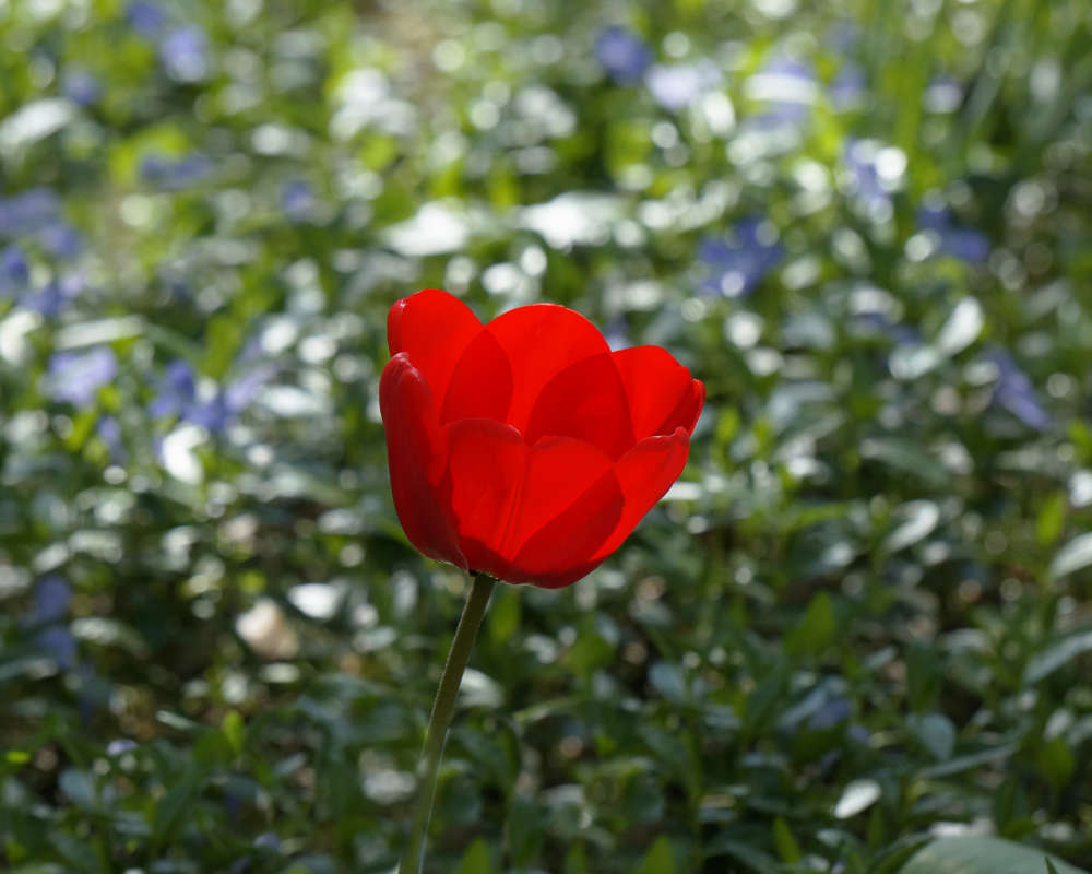 "��� ������ ����� 2" ����� ������ ������ �� PhotoGeek.ru #������ ��� �������