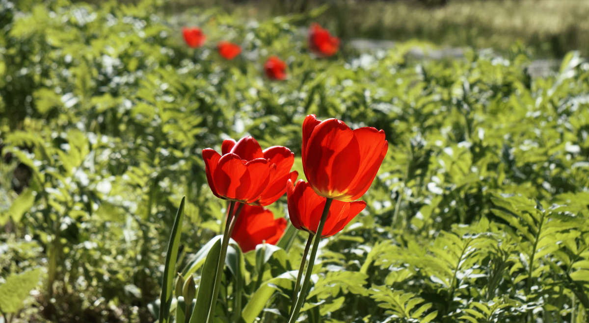 "��� ������ �����" ����� ������ ������ �� PhotoGeek.ru #������ ��� �������