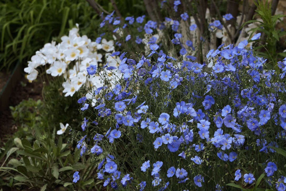 "������� �� �����" ����� ������ ������ �� PhotoGeek.ru #������ ��� �������