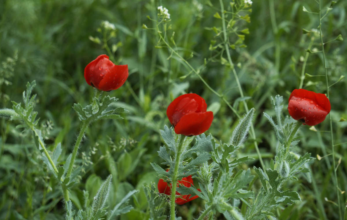 "��� �� ������� ���������" ����� ������ ������ �� PhotoGeek.ru #������ ��� �������