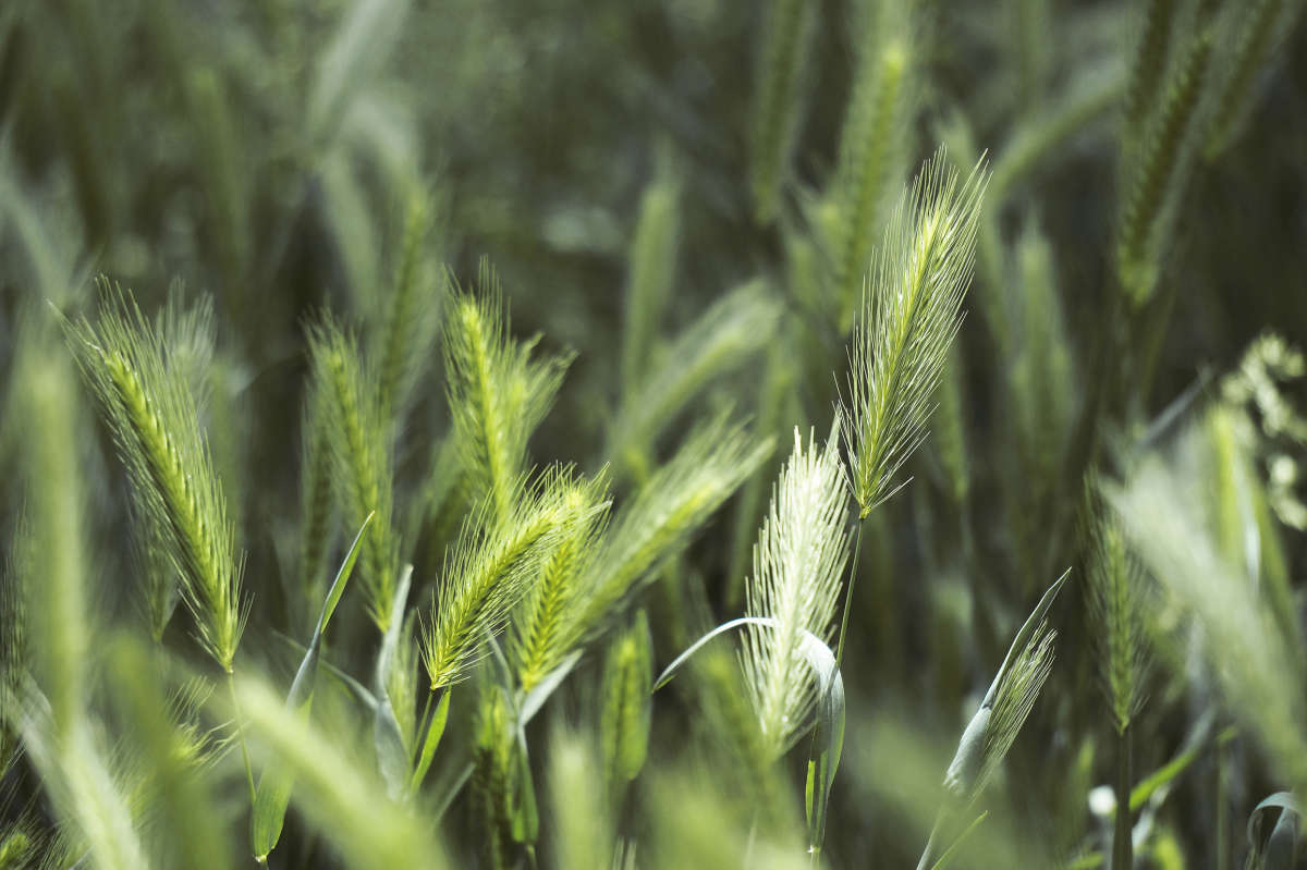 "�������" ����� ������ ������ �� PhotoGeek.ru #������ ��� �������