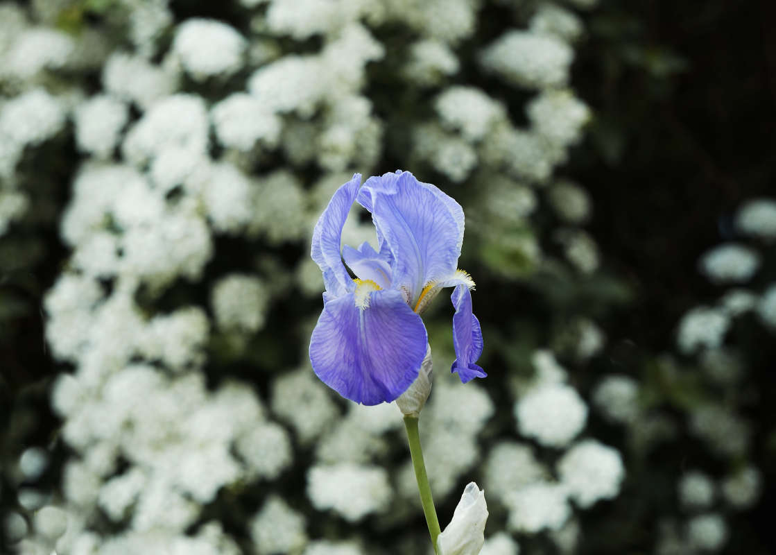 "��������" ����� ������ ������ �� PhotoGeek.ru #������ ��� �������