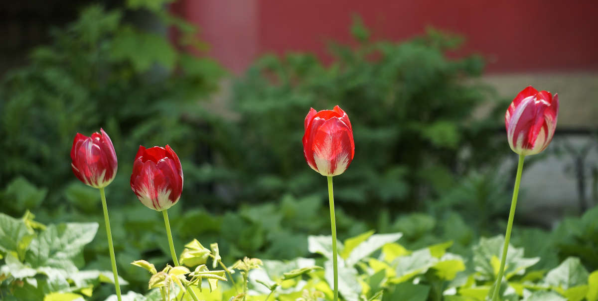 "���� �� ���������" ����� ������ ������ �� PhotoGeek.ru #������ ��� �������