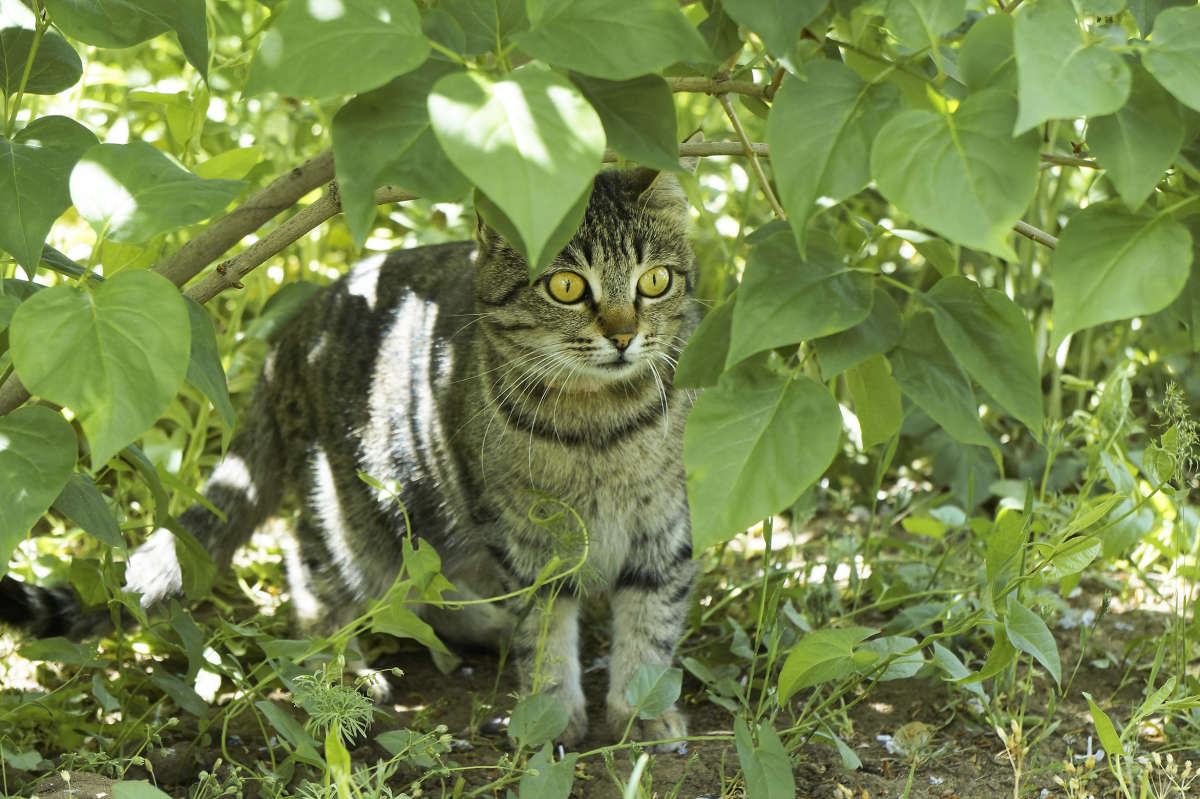 "���������" ����� ������ ������ �� PhotoGeek.ru #�������� ���