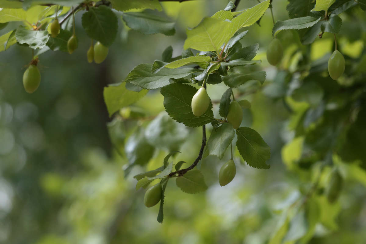 "����� � ����������" ����� ������ ������ �� PhotoGeek.ru #������ ��� �������