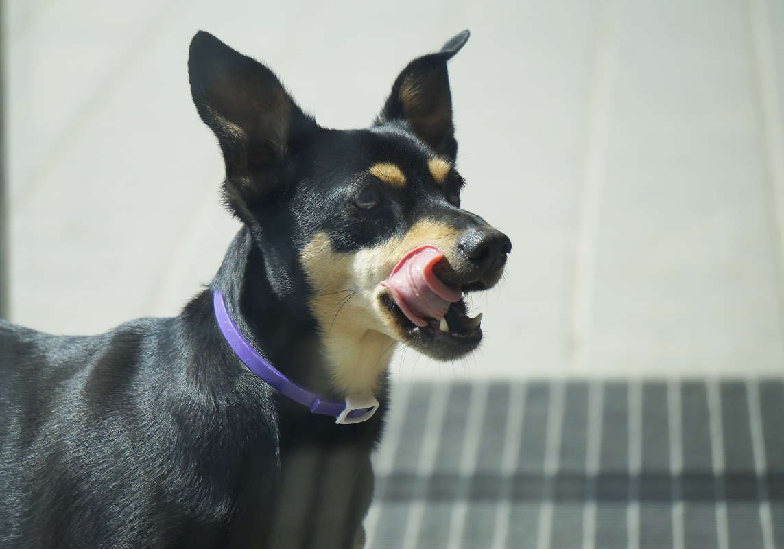 "� �������� ��������� � ��������" ����� ������ ������ �� PhotoGeek.ru #�������� ���