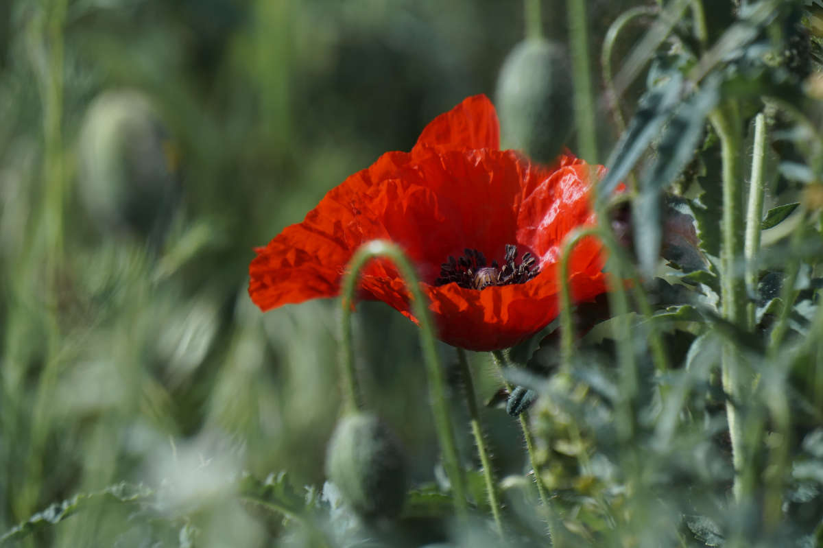 "��� 2" ����� ������ ������ �� PhotoGeek.ru #������ ��� �������