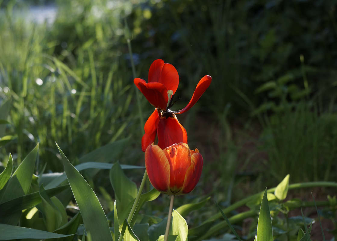 "�������� ��������" ����� ������ ������ �� PhotoGeek.ru #������ ��� �������