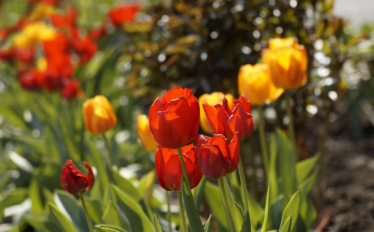 "������������ ��������" ����� ������ ������ �� PhotoGeek.ru #������ ��� �������