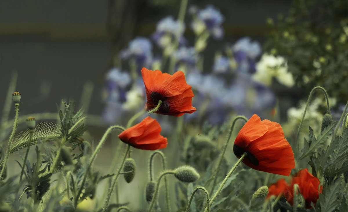 "�����" ����� ������ ������ �� PhotoGeek.ru #������ ��� �������