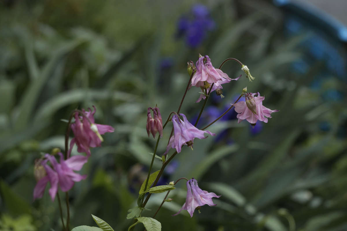 "����� ������ 2" ����� ������ ������ �� PhotoGeek.ru #������ ��� �������