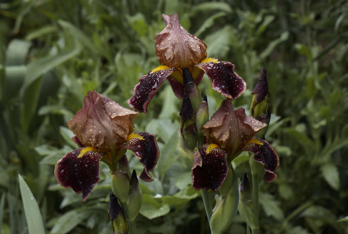 "����� ������ 3" ����� ������ ������ �� PhotoGeek.ru #������ ��� �������