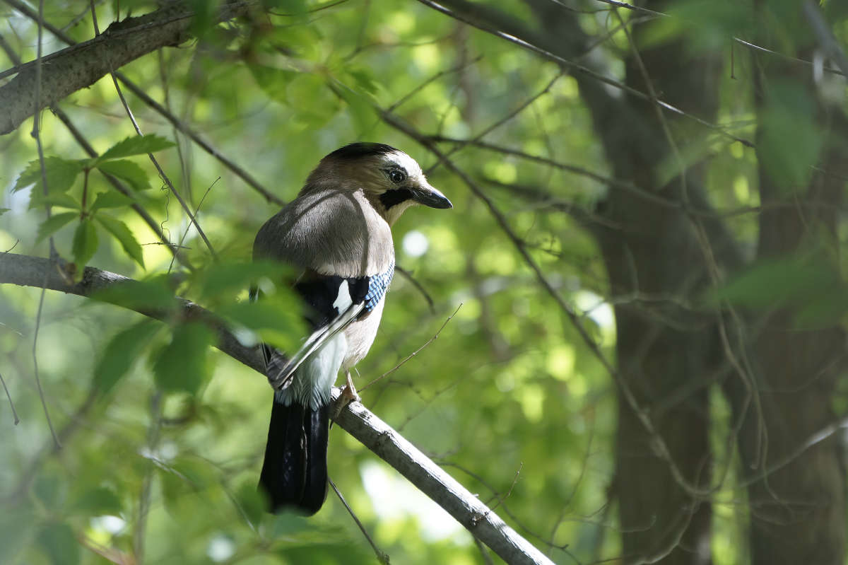 "�� �����" ����� ������ ������ �� PhotoGeek.ru #�������� ���