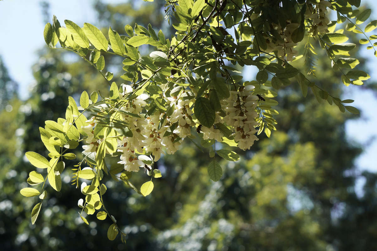 "������ �������" ����� ������ ������ �� PhotoGeek.ru #������ ��� �������