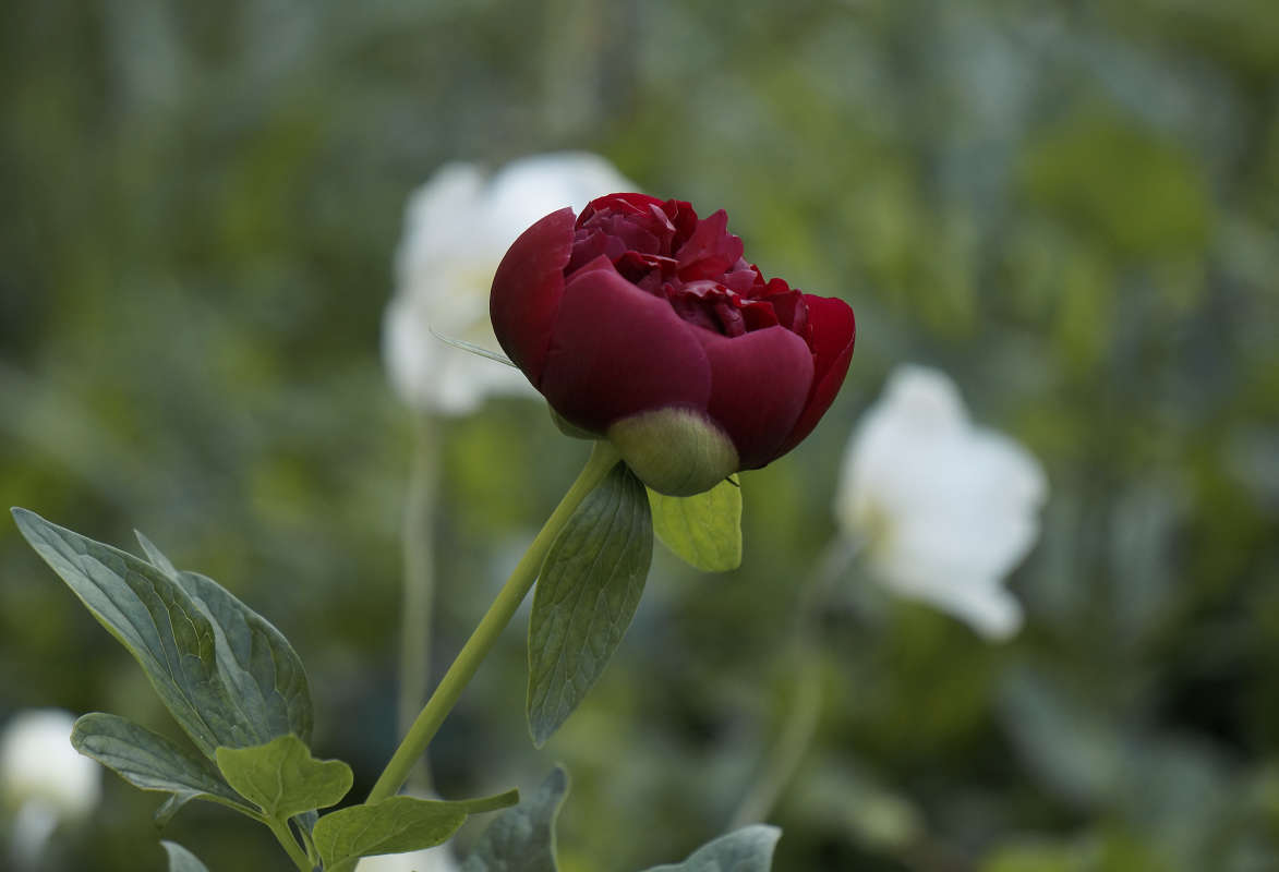 "���������� ��������" ����� ������ ������ �� PhotoGeek.ru #������ ��� �������