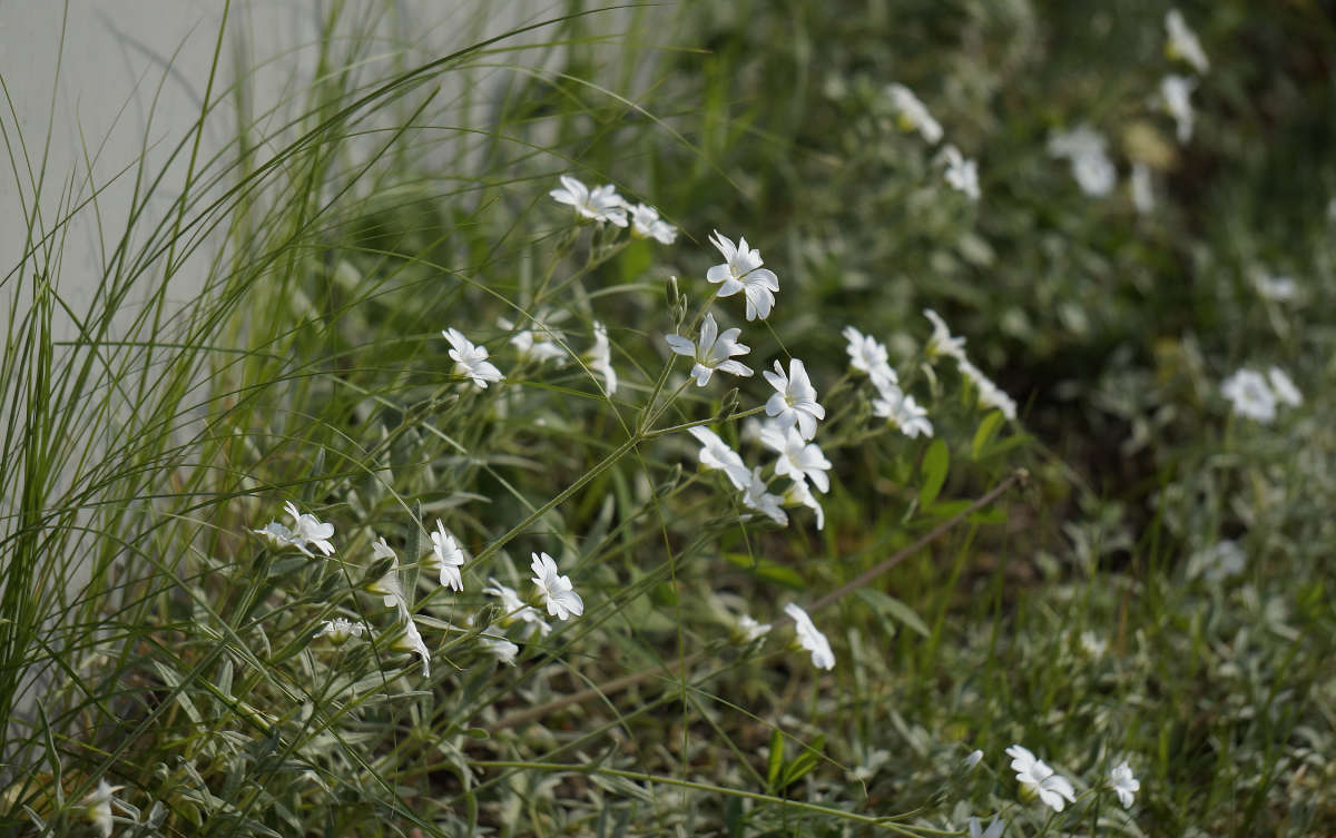 "����������� ����� ������" ����� ������ ������ �� PhotoGeek.ru #������ ��� �������