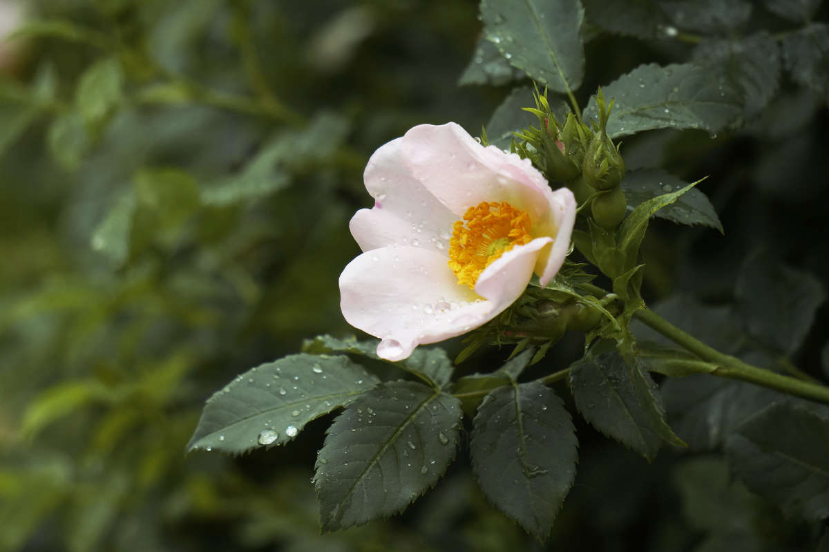 "���� ���� ����� 2" ����� ������ ������ �� PhotoGeek.ru #������ ��� �������