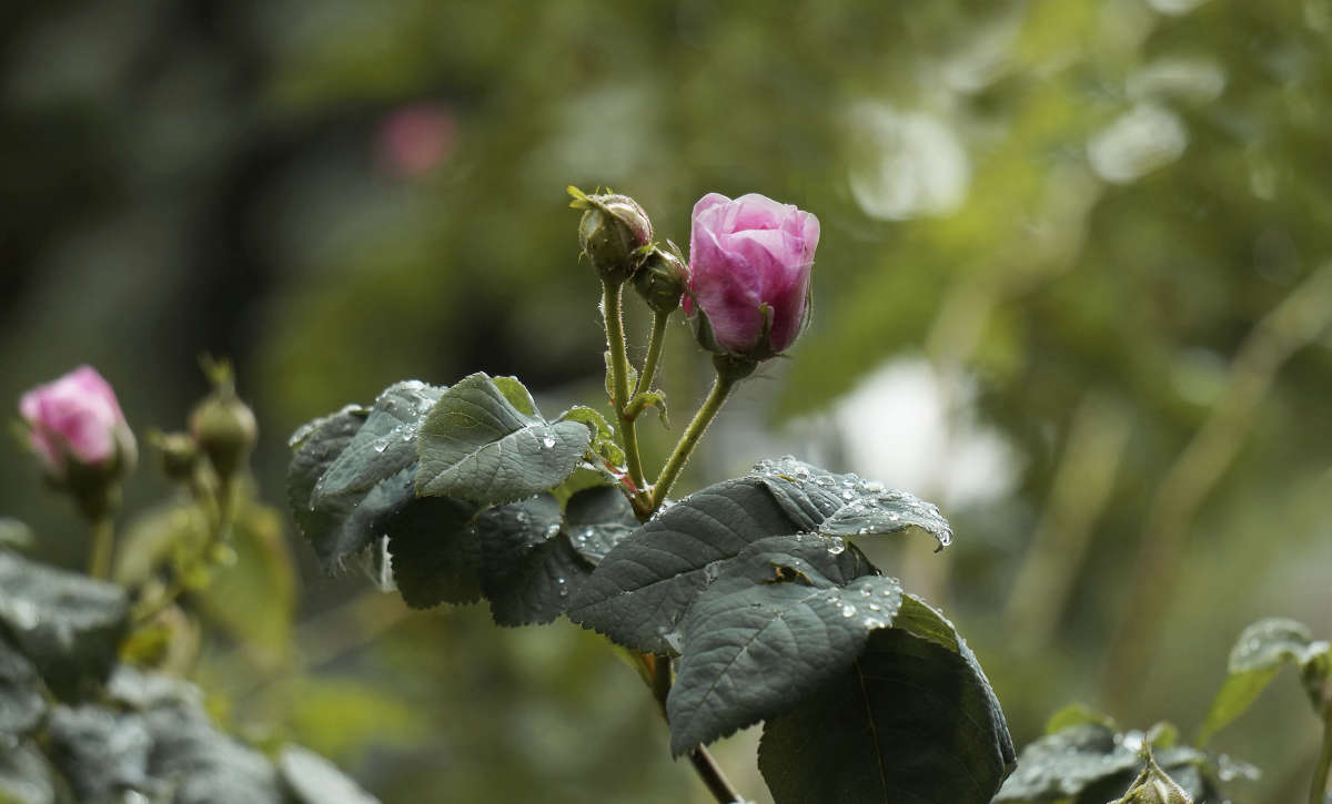 "���� ���� �����" ����� ������ ������ �� PhotoGeek.ru #������ ��� �������