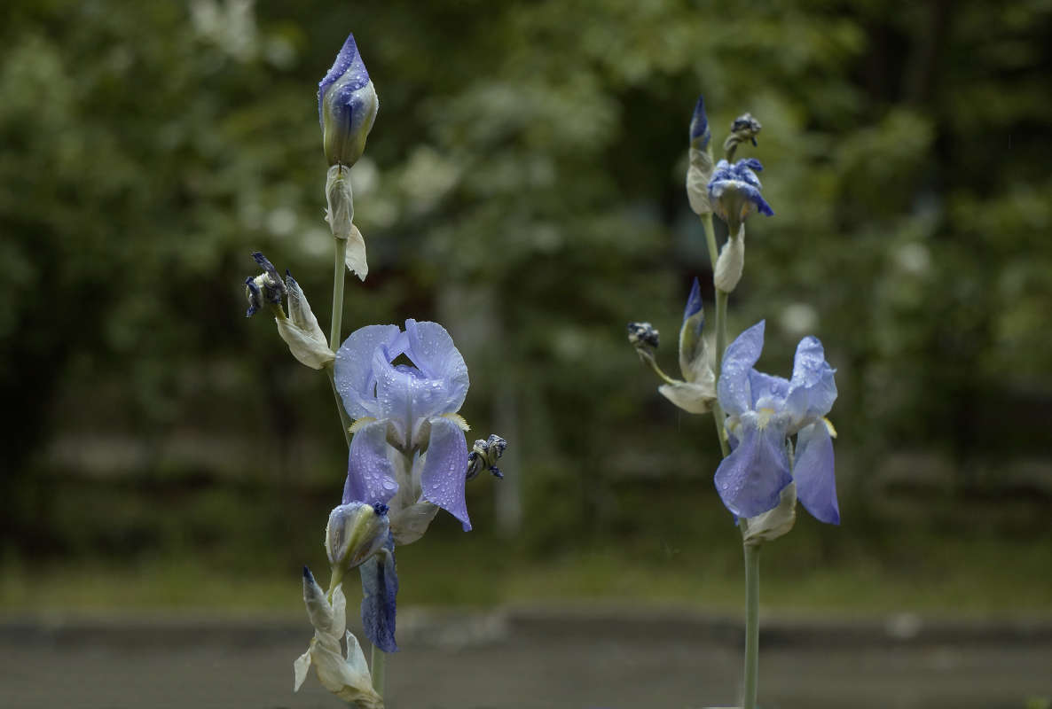 ���� ���� ����� ����� ������ ������ �� PhotoGeek.ru #������ ��� �������