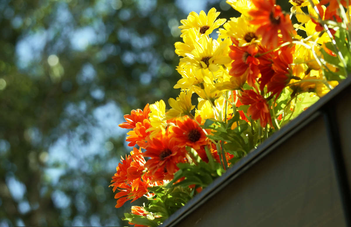 ... ����� ������ ������ �� PhotoGeek.ru #�������� ����������