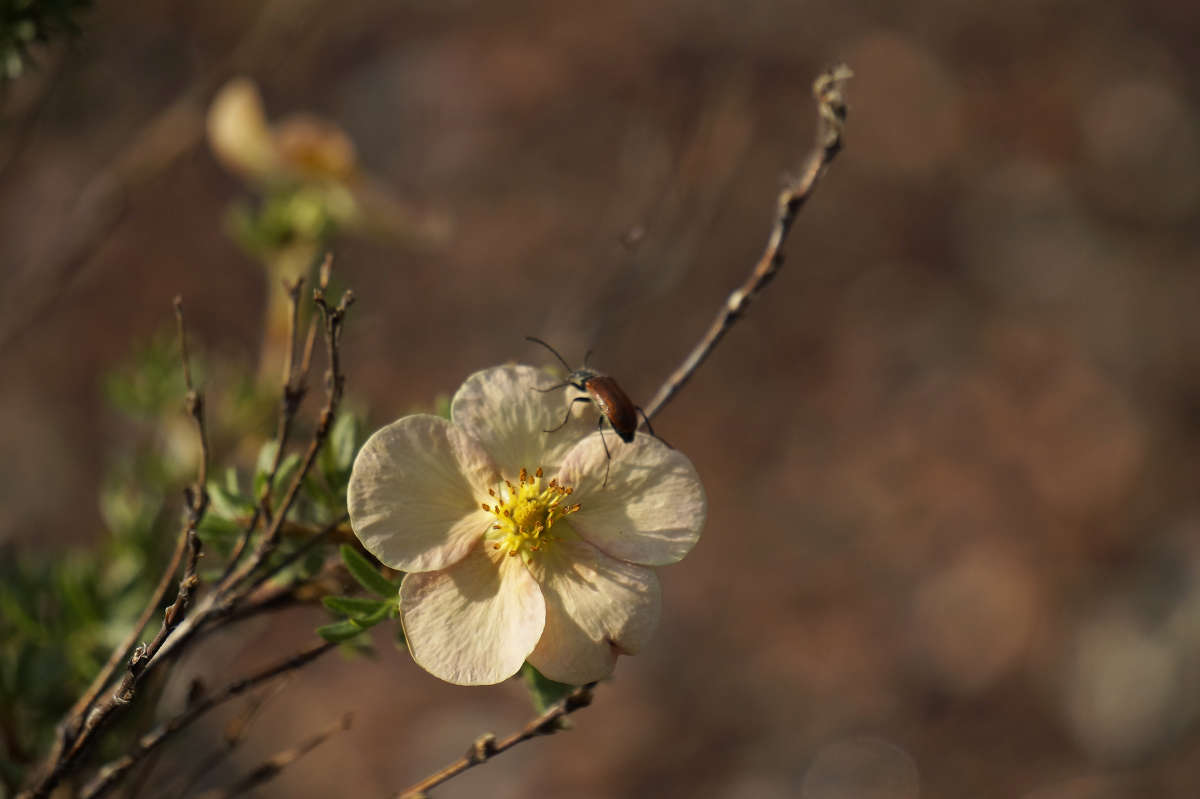 "�������" ����� ������ ������ �� PhotoGeek.ru #������ ��� �������