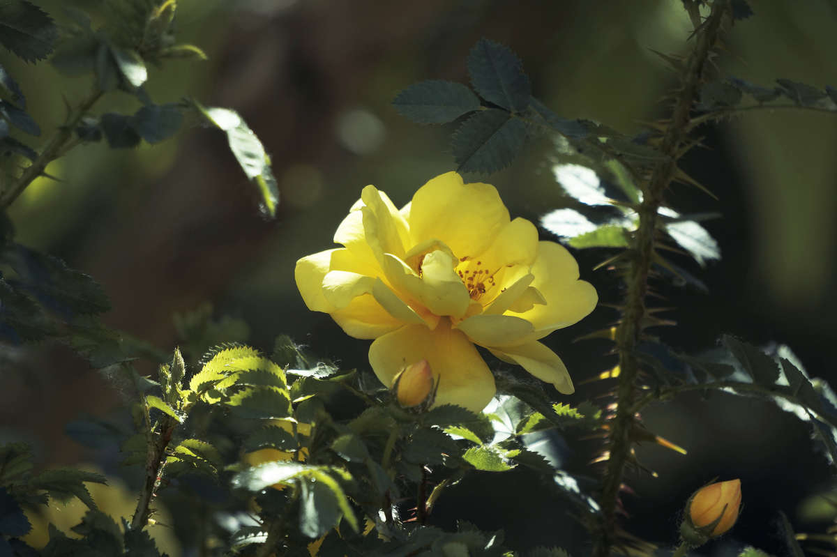 "���������� ��������" ����� ������ ������ �� PhotoGeek.ru #������ ��� �������