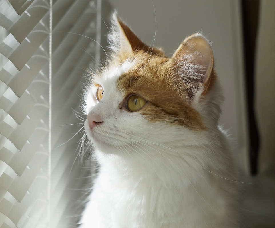 "� ��� ������ �����" ����� ������ ������ �� PhotoGeek.ru #�������� ���