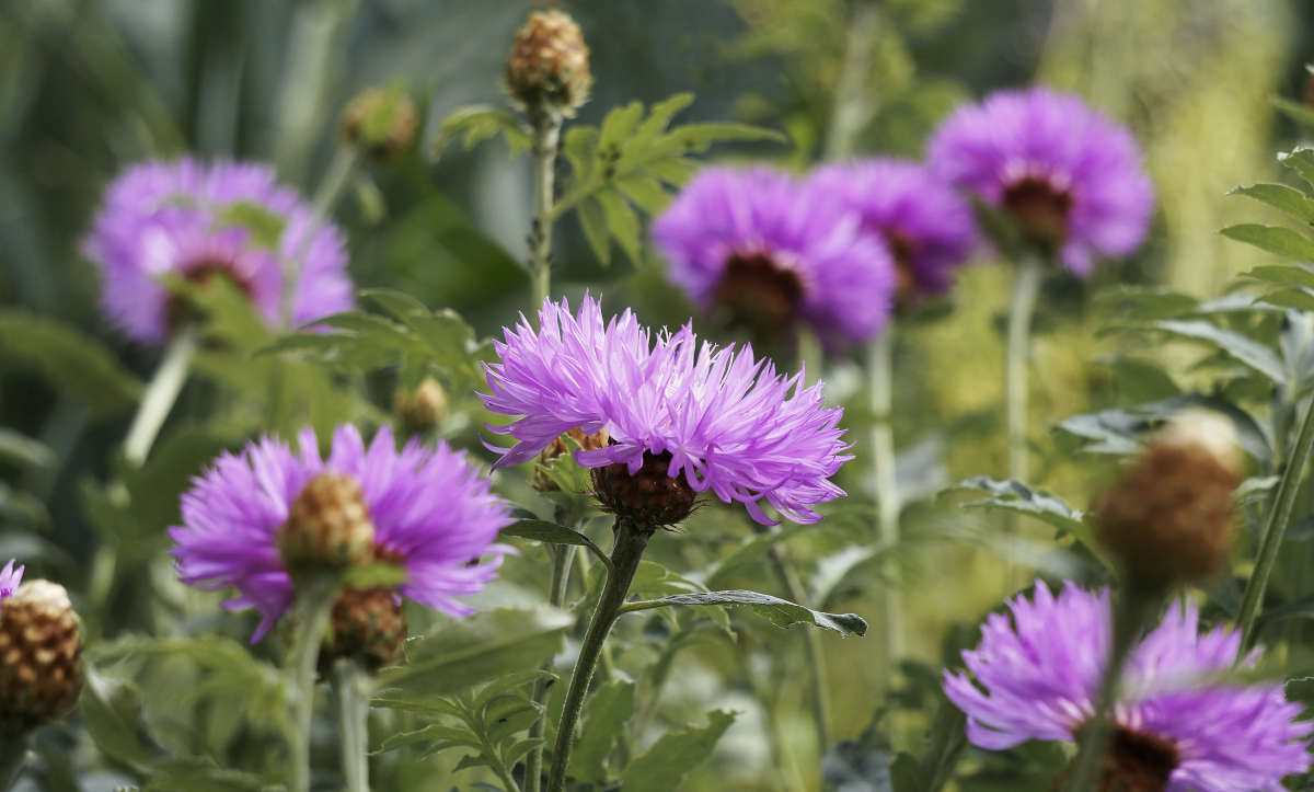 "�� �� ��������� ������" ����� ������ ������ �� PhotoGeek.ru #������ ��� �������