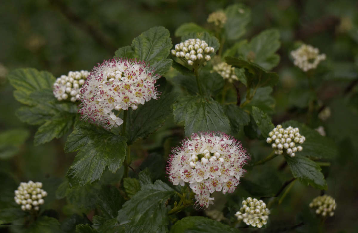 "� ��������� 2" ����� ������ ������ �� PhotoGeek.ru #������ ��� �������