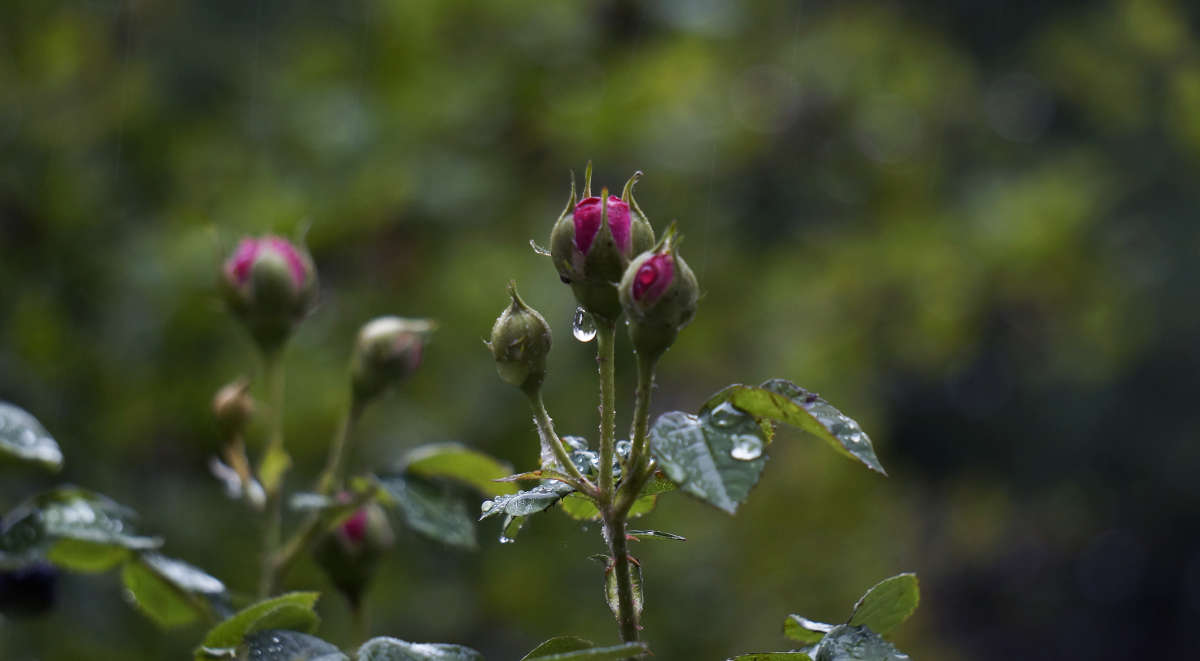 "� ���������" ����� ������ ������ �� PhotoGeek.ru #������ ��� �������