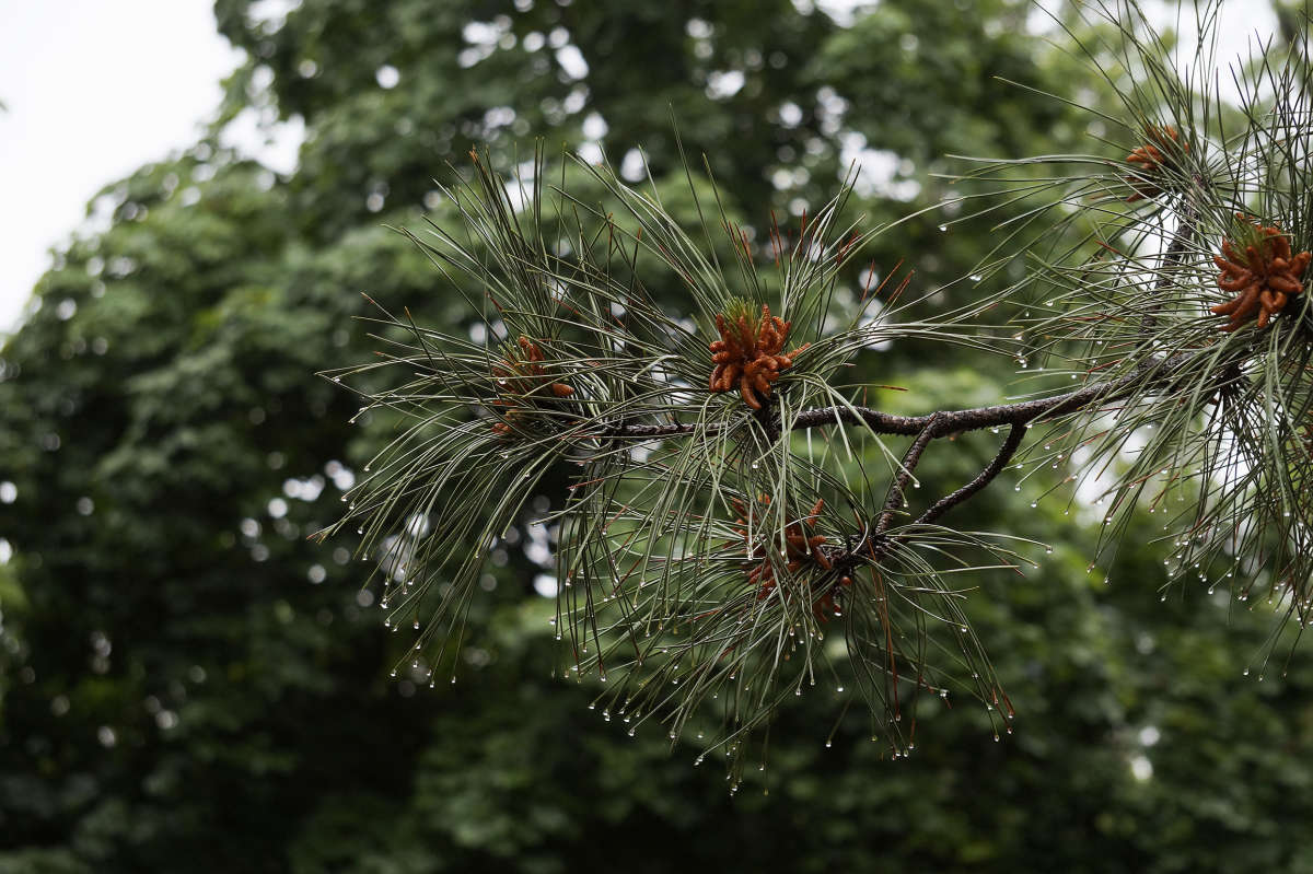 "� ��������� 4" ����� ������ ������ �� PhotoGeek.ru #������ ��� �������